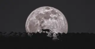 বছরের শেষ সুপারমুন দেখা যাবে আজ